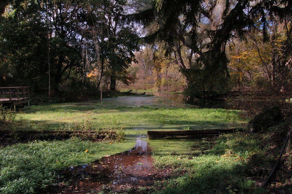 Genesee Country Inn B&B Mumford Bagian luar foto